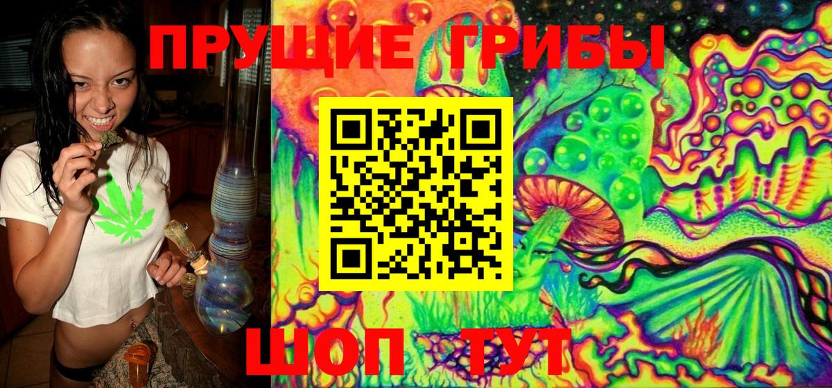 Галлюциногенные грибы Psilocybine cubensis  Вход с VPN  Волхов 