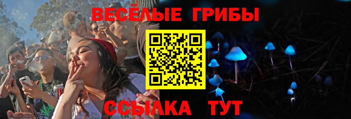 Псилоцибиновые грибы Psilocybe Волхов