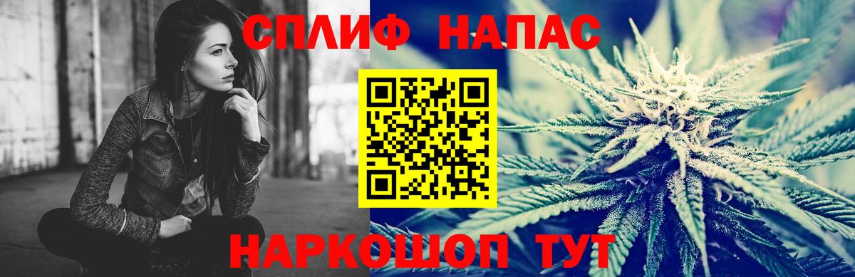 Каннабис гибрид Волхов